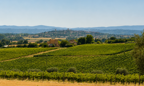 divincasale-panorama